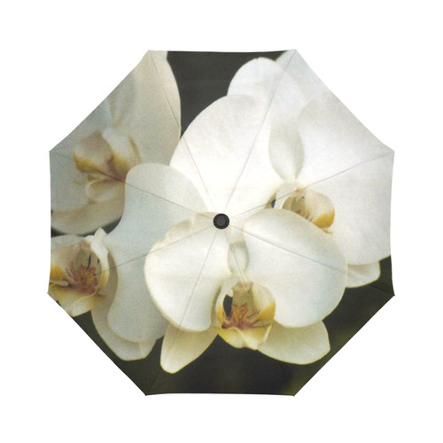 Orchids Auto-Foldable Umbrella (Model U04)